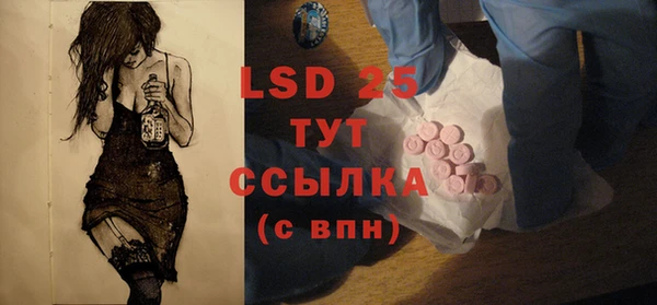 прущие грибы Алзамай