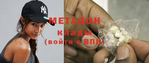 прущие грибы Алзамай