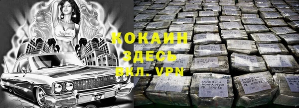 кокс Алексин