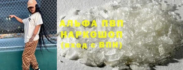 прущие грибы Алзамай