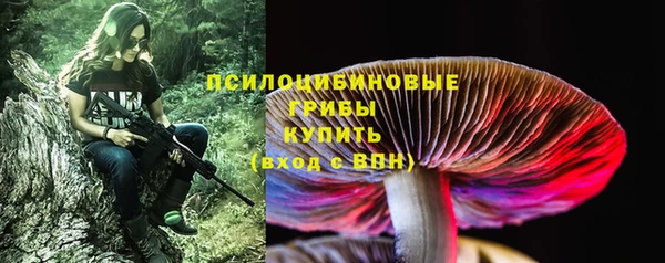 прущие грибы Алзамай